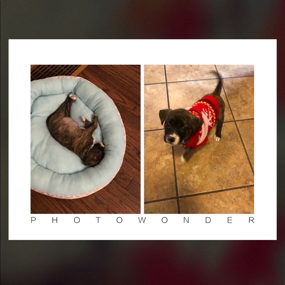 Meet your Posher, Ma